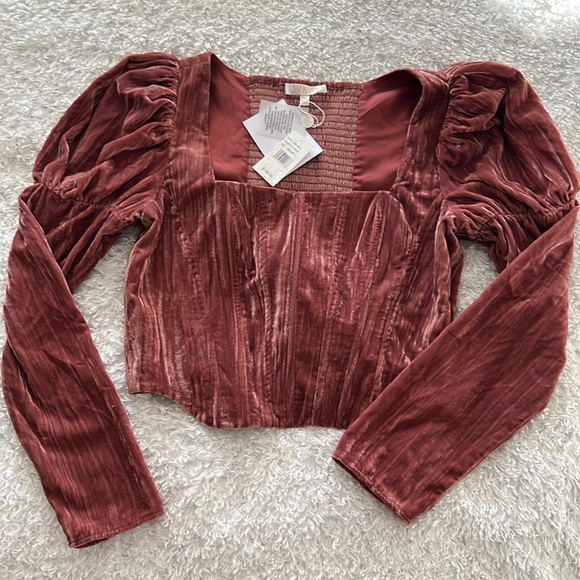 Wayf Tops - NWT WAYF Juliet Sleeve Velvet Bustier Top - medium - Cinnamon